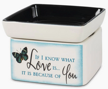 Cargar imagen en el visor de la galería, 2-in1 Wax Melt Warmers