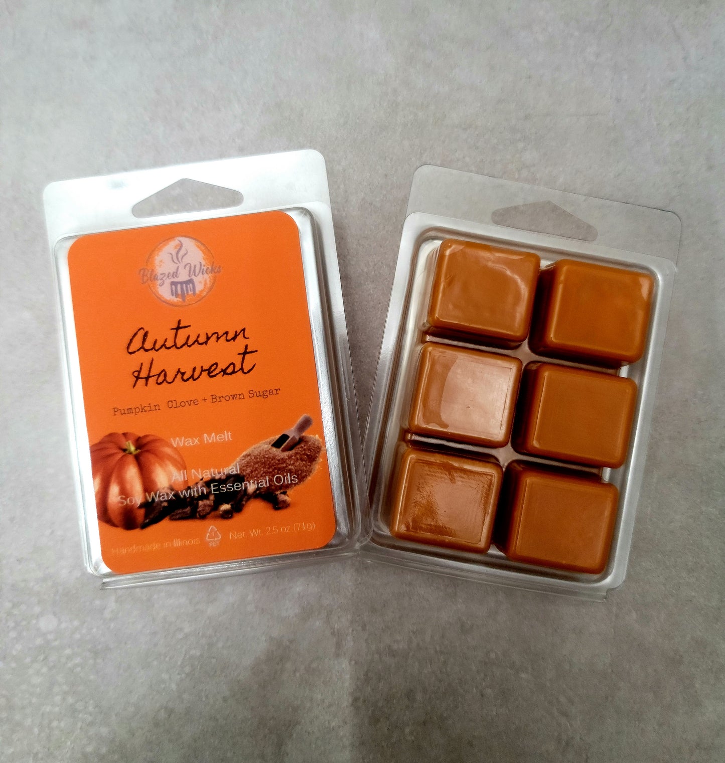 Autumn Harvest (Pumpkin  Clove + Brown Sugar) Soy Wax Melt