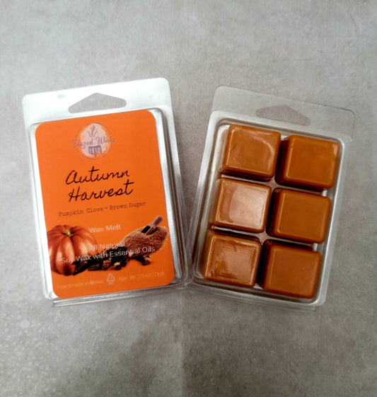 Autumn Harvest (Pumpkin  Clove + Brown Sugar) Soy Wax Melt